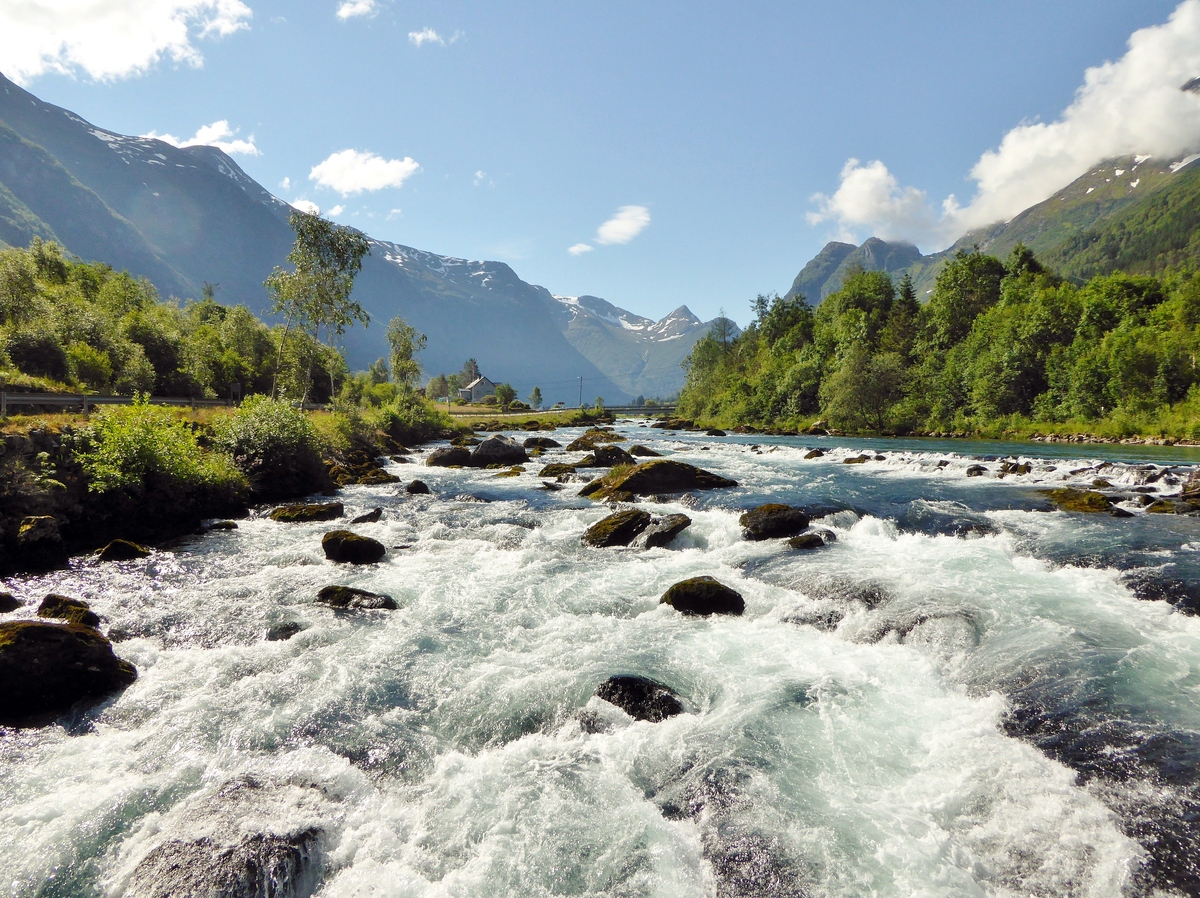 1st. - Dave Robinson